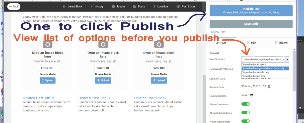 blogpublish1