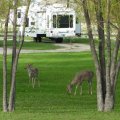 Deer Park Campground