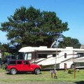 Seal Rocks RV Cove