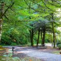 Ainsworth State Park