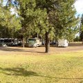 Peaceful Pines RV Resort