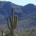 BLM-La Posa Long Term Camp (RRV Quartzite)