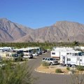 Springs at Borrego