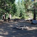 Camp Edison - Shaver lake