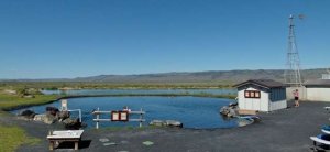 Crystal Crane Hot Springs