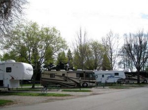 Almond Tree RV Park (Chico)