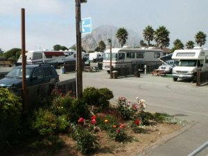 Morro Dunes RV Park Morro Bay