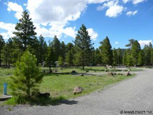 Singletree USFS Campground