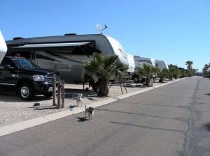 The Palms RV Resort