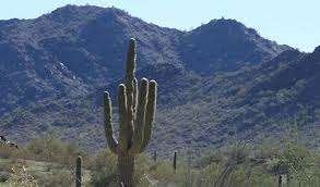 BLM-La Posa Long Term Camp (RRV Quartzite)