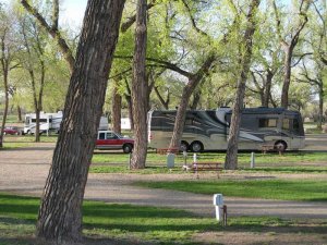 Miles City KOA