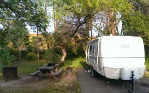 Folsom Lake State Park Beals point campground