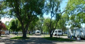 Village Of Trees RV Resort