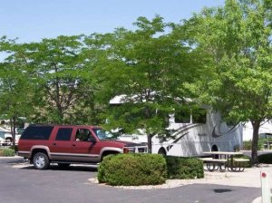American RV Park (Albuquerque)