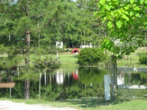 Roy&#039;s Hideaway Campground