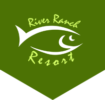 RVLogo