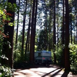 Big Fir Campground &amp; RV Park