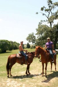 Circle J Ranch and Cattle Company