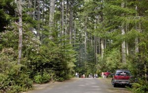 JESSIE M. HONEYMAN MEMORIAL STATE PARK